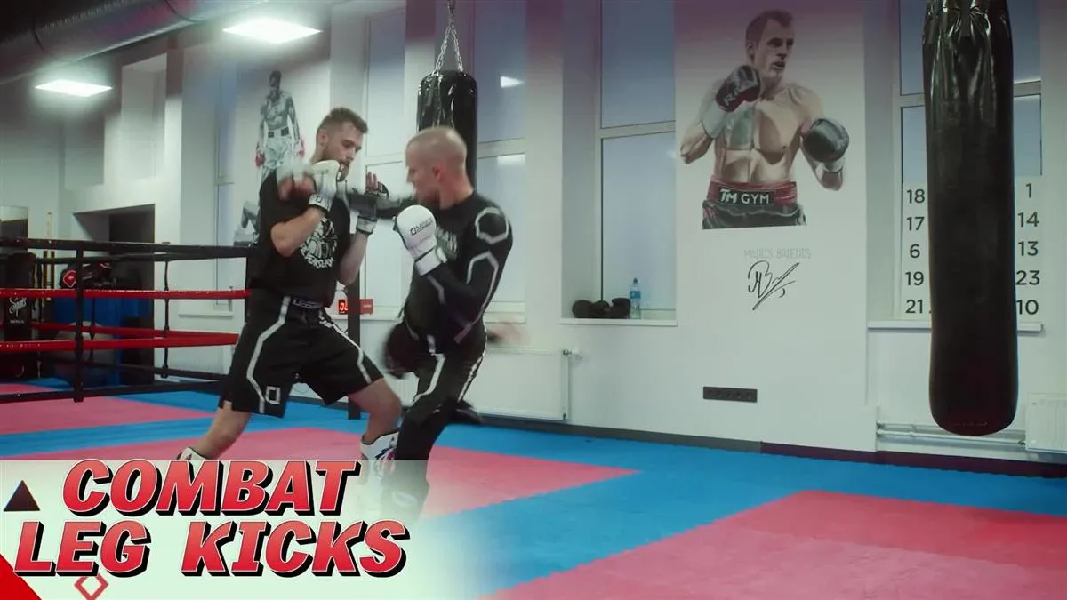 Combat Leg Kicks by Edgars Skrivers