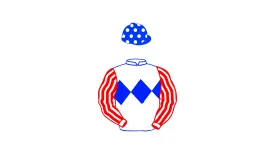 Cross Channel Racing Big Silks